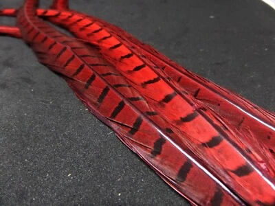 Irish Fly Supplies Cock Pheasant tails - Red x 2, Crunchers, nymphs.
