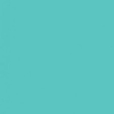 Savage Widetone Seamless Background Paper 47 Baby Blue, 107" x 36'