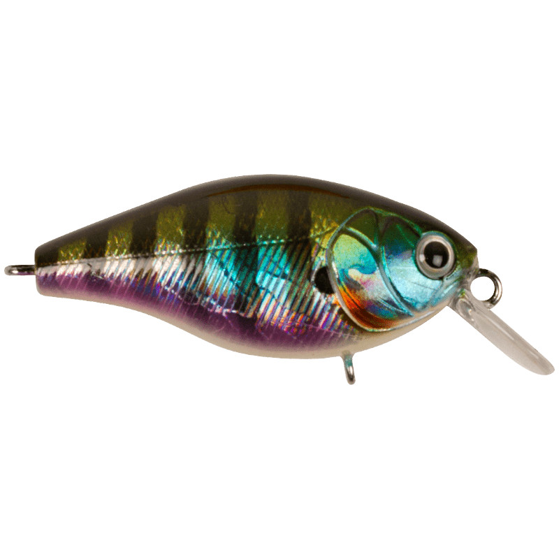 Blue Gill
