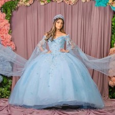 Custom Sky Blue Floral Quinceanera Dress Ball Gown Applique Beading Cape Sweet16