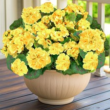 Yellow Artificial Geranium Flowers 4 Bundles Uv Resistant Faux Plant Decoration