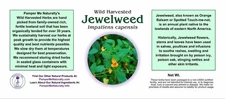 Jewelweed Herb, Wild Harvested Impatiens capensis for Poison Ivy Rash Salve