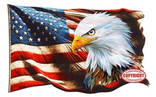American Flag Mean Business Bald Eagle Decal