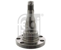 Achszapfen AchsköRper Febi Bilstein 08340 FüR VW Seat Audi 1H1 Golf 90 Cordoba 2