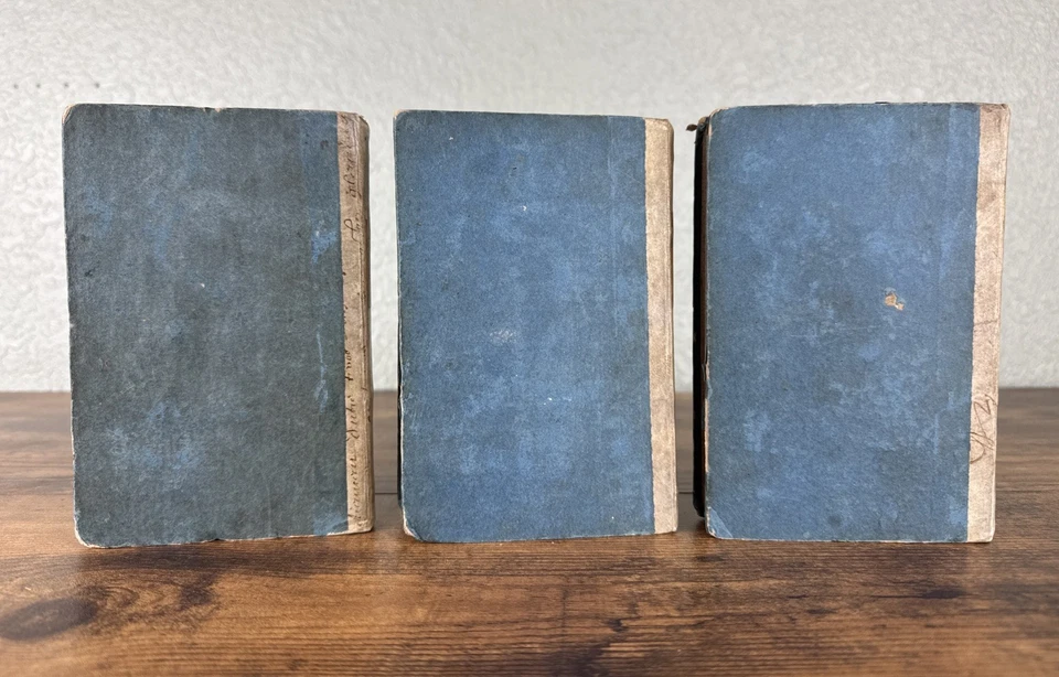 LA PRAIRIE, A TALE 1827 1ST FRENCH ED. BY JAMES FENIMORE COOPER ORIG. BOARDS+MAP - Image 3 of 4