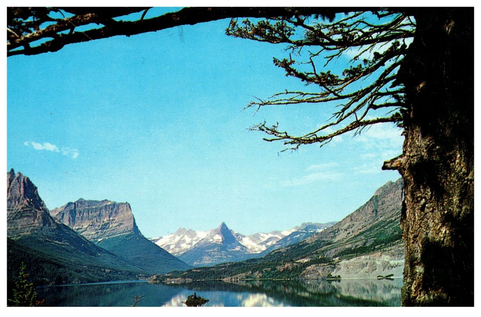 Foto 1 di 2