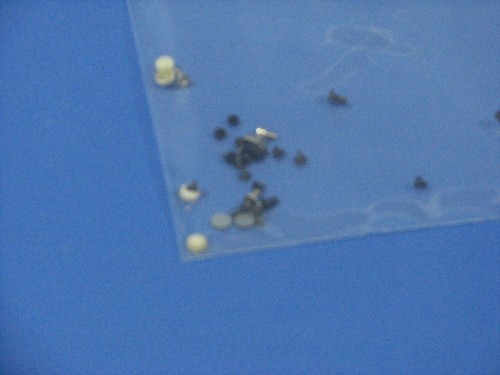 Screw Set Dell Inspirion 9300 8420198-29564