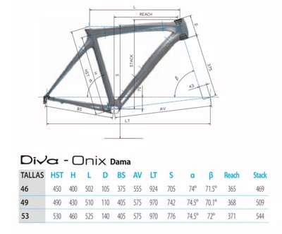 Orbea Diva Carbon Road Bike Frameset 53cm Blue 2010 | eBay