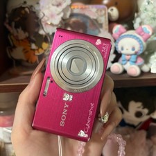 Sony Cyber-shot DSC-W610 14.1MP Digital Camera 4x Optical Zoom Panorama HD pink