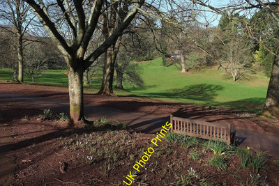 Foto 6x4 Cockington Court Country Park Torquay Eine Bank am Hauptantrieb c2016