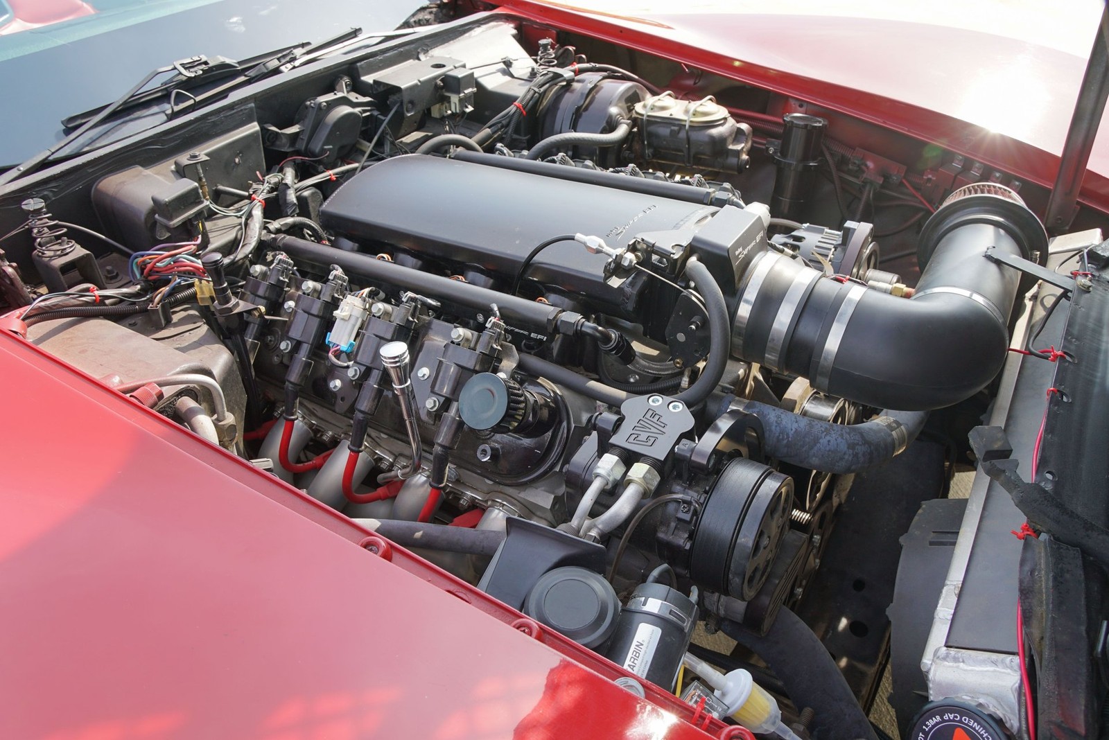 1981 Red Chevrolet Corvette   | C3 Corvette Photo 3