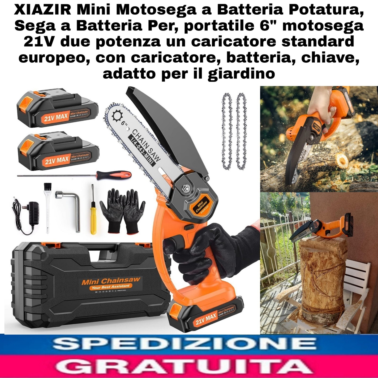 Mini Motosega a Batteria Potatura giardino 21V,Sega a Batteria 6" + Accessori