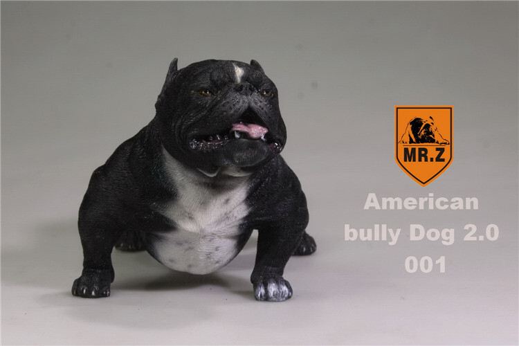 Mr.Z 1/6 American Bully Pitbull Dog Pet Figure Animal Toy