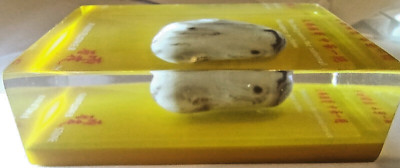Rain Flower Stone A God-given national treasure unique to China, Agate in Lucite