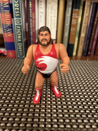 Vintage 1991 WWF Typhoon Action Figure Titan Sports Hasbro Wrestling WWE Works