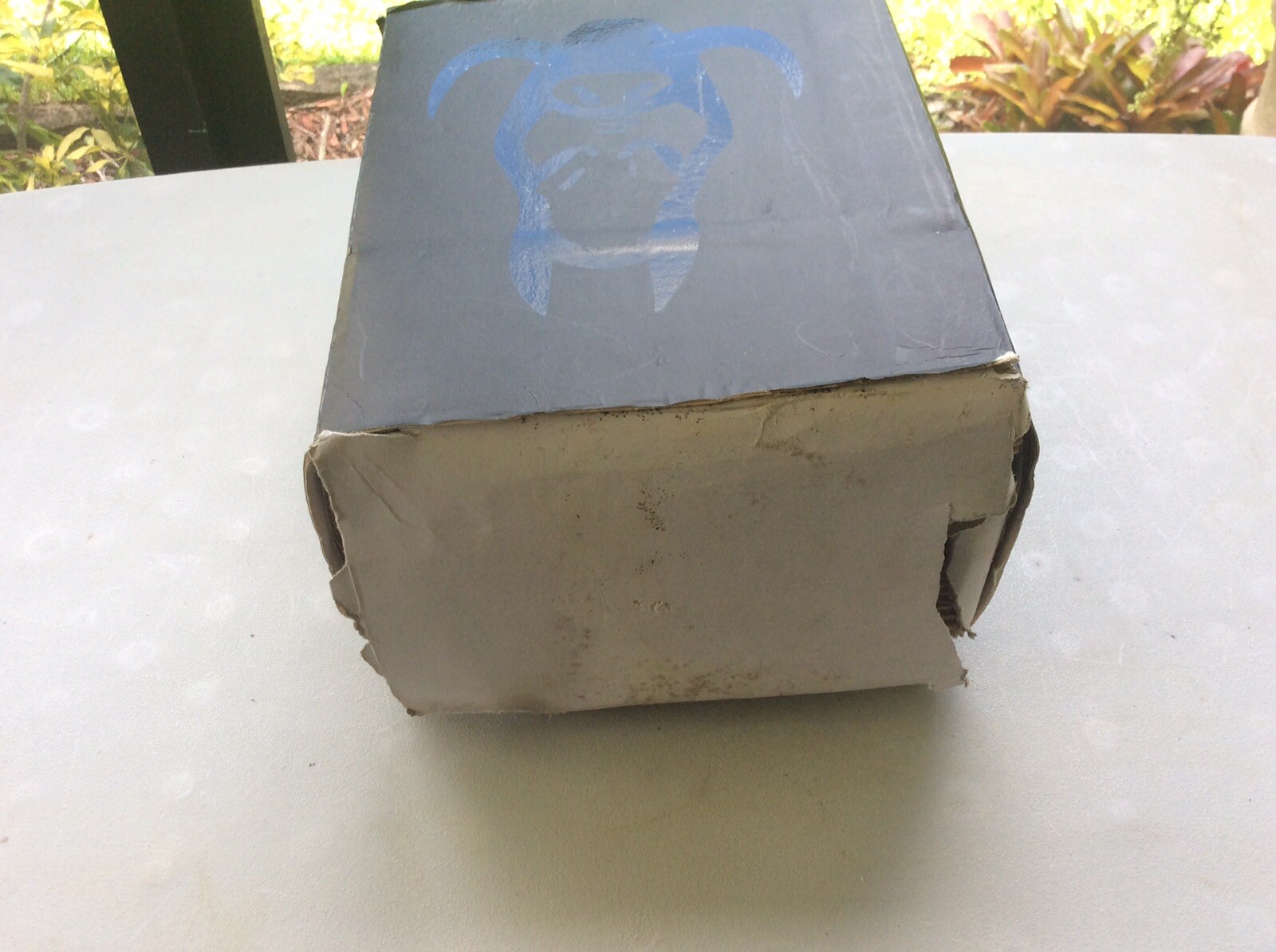 Picture 11 of 11