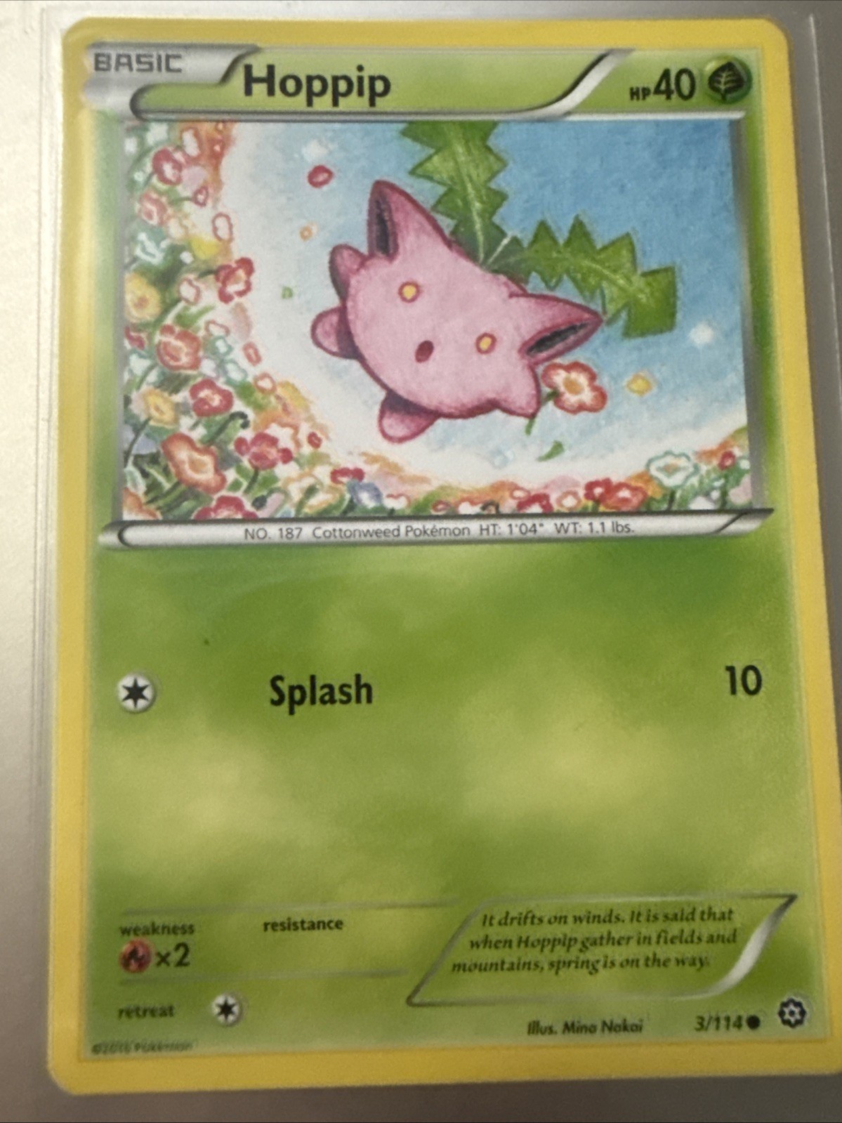 Hoppip 3/114 XY-Steam Siege Regular Common Pokemon Card - NM Condition