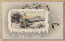 Vintage Christmas "A Merry Xmas" Icy Winter scene with birds & Holly 1912
