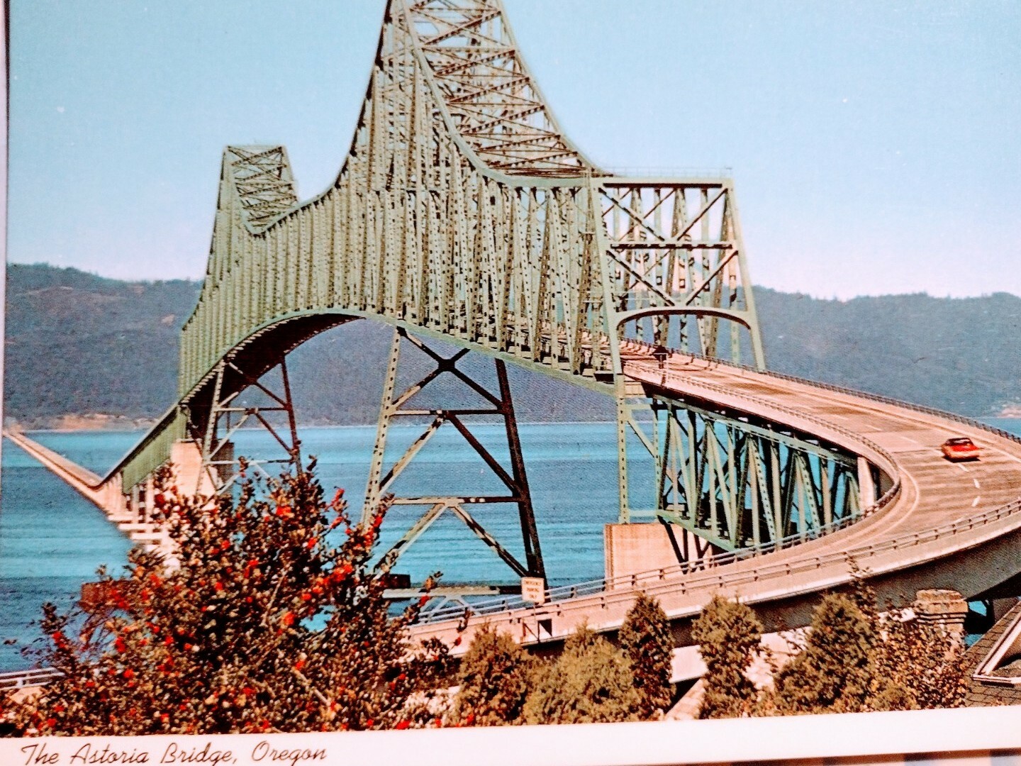 Picture 7 of 12