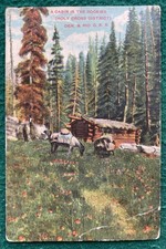 c1912 Denver & Rio Grande cabina ferroviaria nelle Montagne Rocciose Santa Croce cartolina e