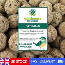 Image of Enhanced Suet Fat Balls for Varied Bird Species | High Energy Nutrition, 10-Pack