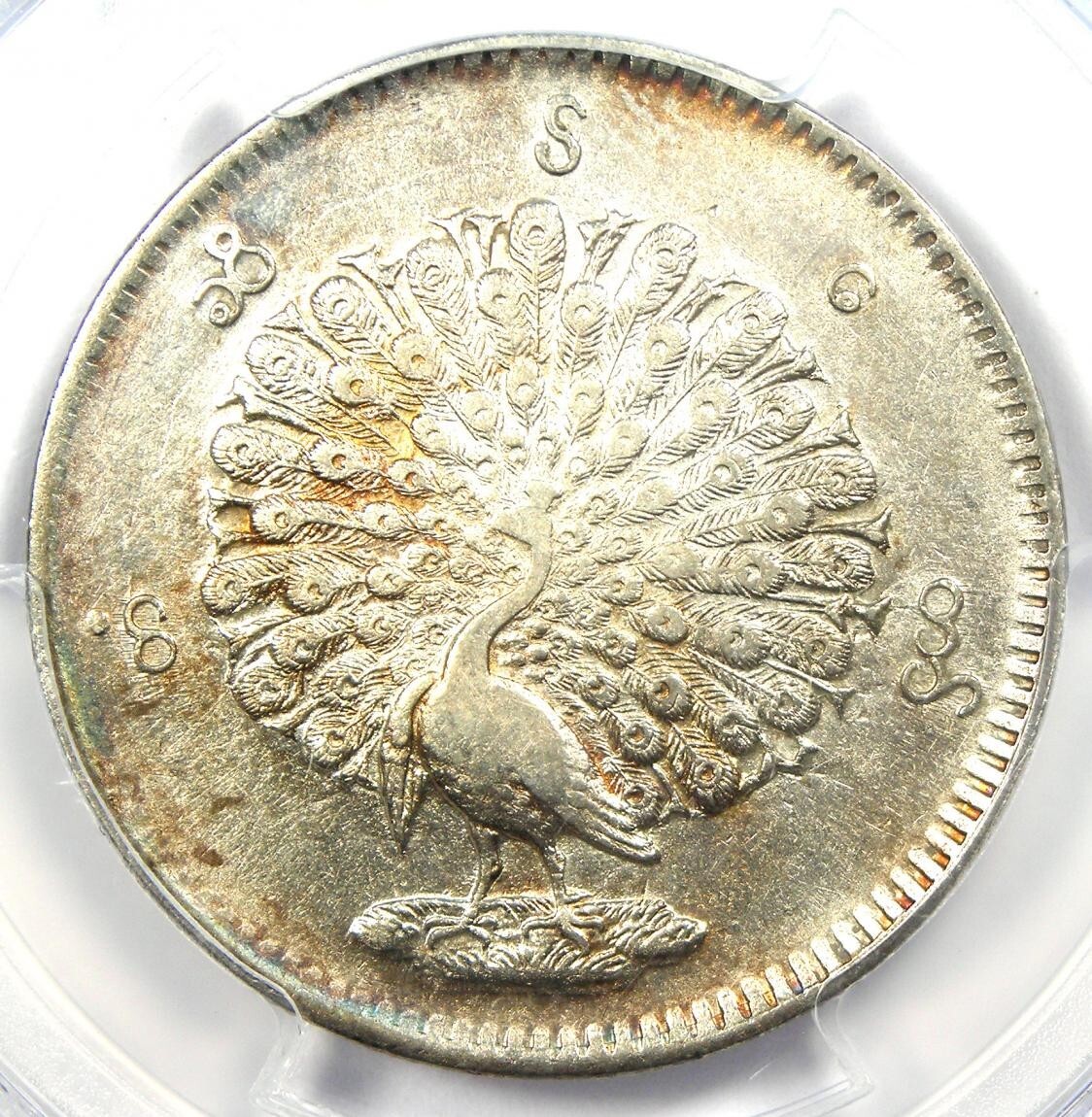 Picture 1 of 6