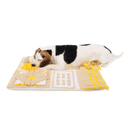 lionto Schnüffelteppich Hunde Suchteppich Trainingsmatte diverse Größen/Farben - Bild 18 von 31