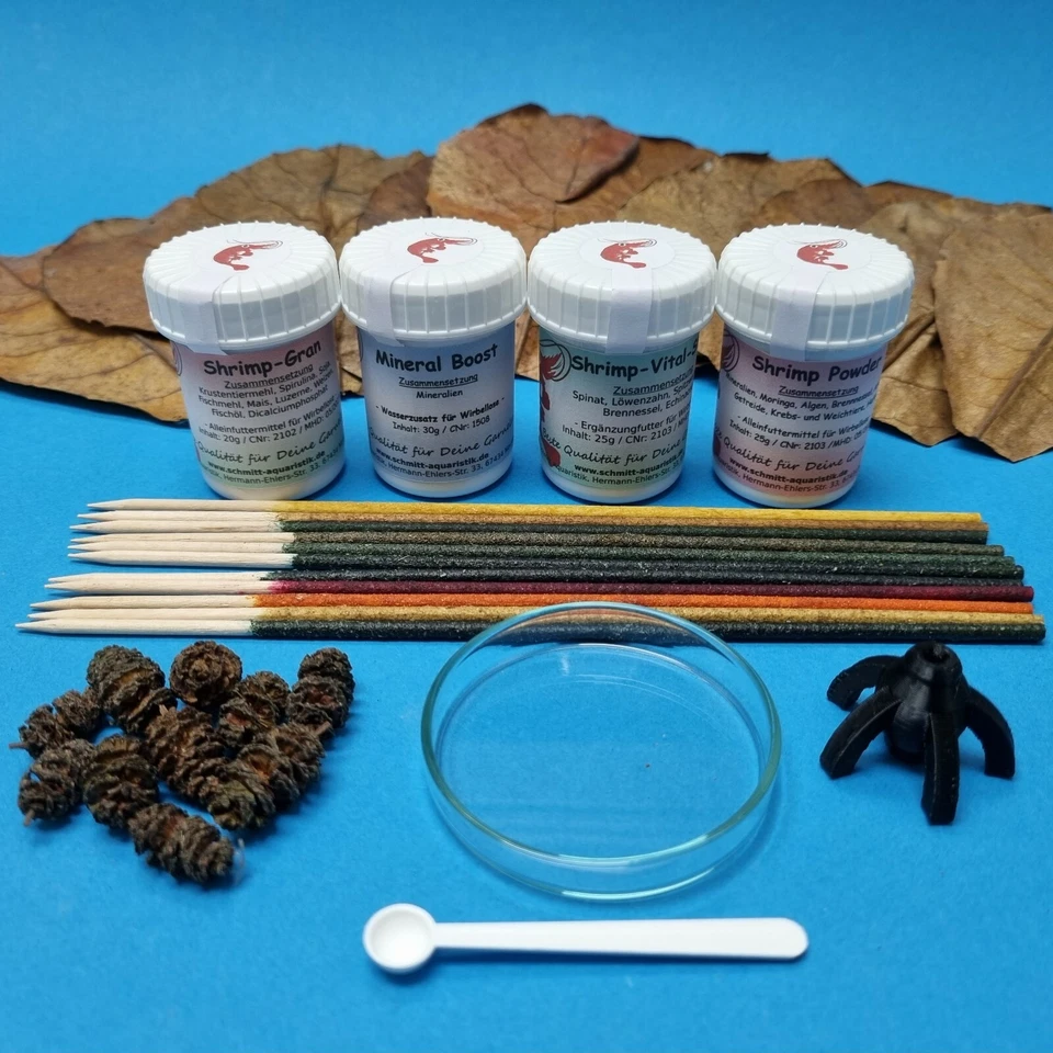 Garnelen Einsteiger Set (Shrimp Lollies Futter Sticks Glasschale Erlenzapfen)
