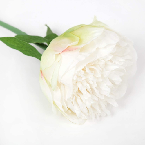 20 Heads Artificial Peony Silk Flower Leaf Home Office Wedding Party Festival Ba - Picture 4 of 12
