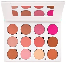 OFRA Professional Blush Palette, 10.9 Ounce - NIB