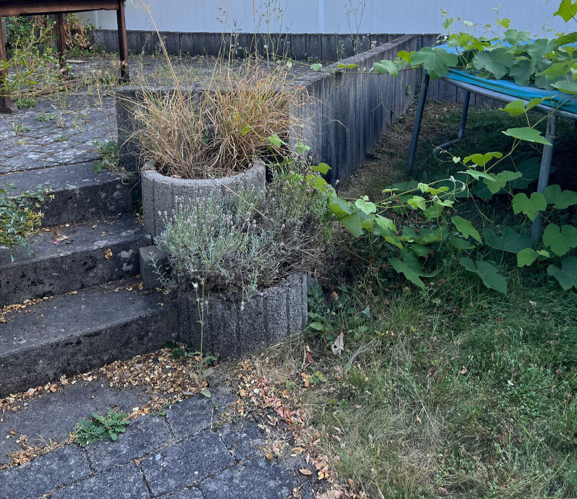 Pflanzsteine groß rund grau und Blockstufen undstützen eBay