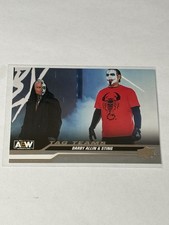 2024 Upper Deck AEW All Elite Wrestling - Tag Teams Sting, Darby Allin #89
