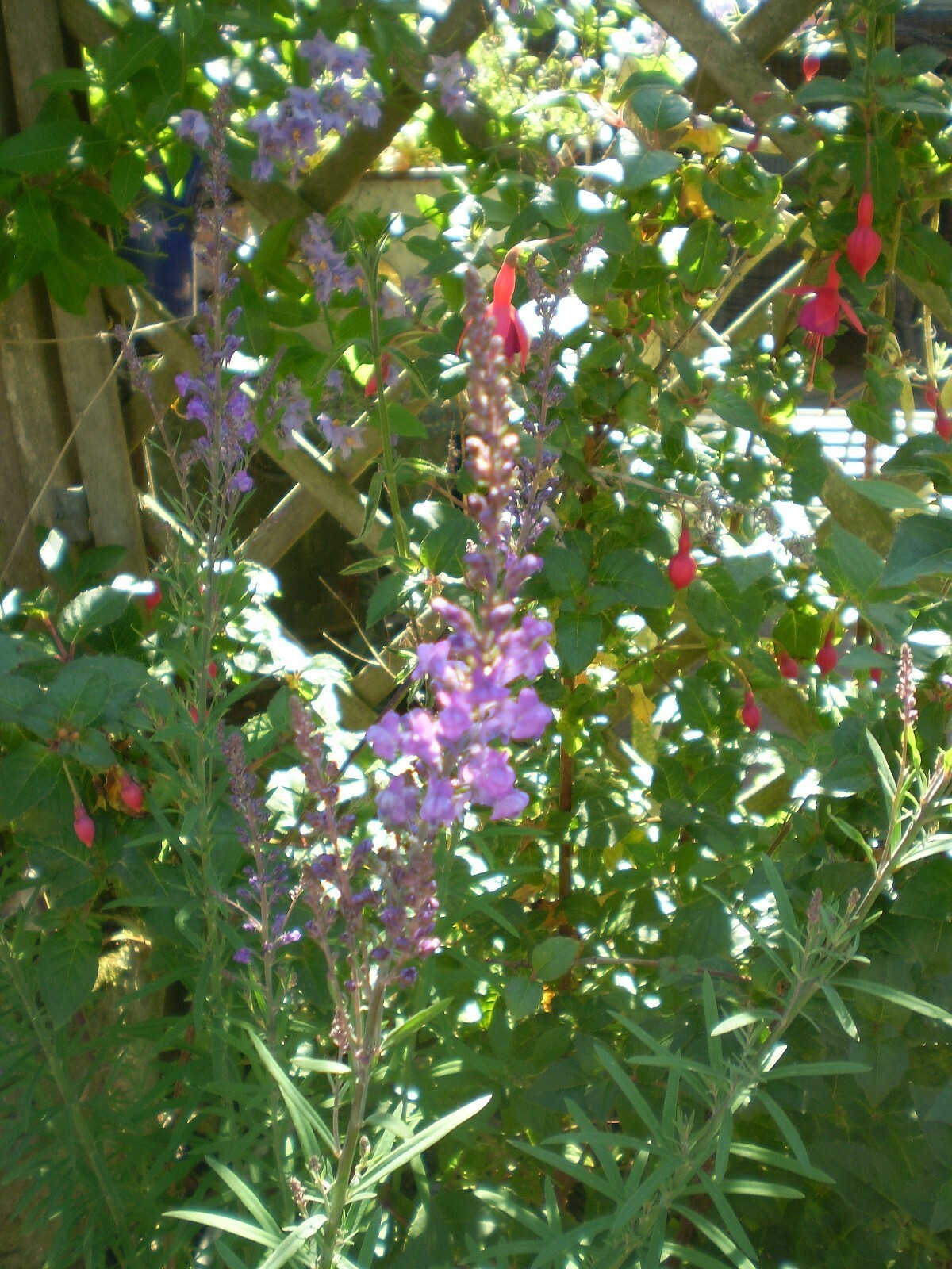 Picture 3 of 11