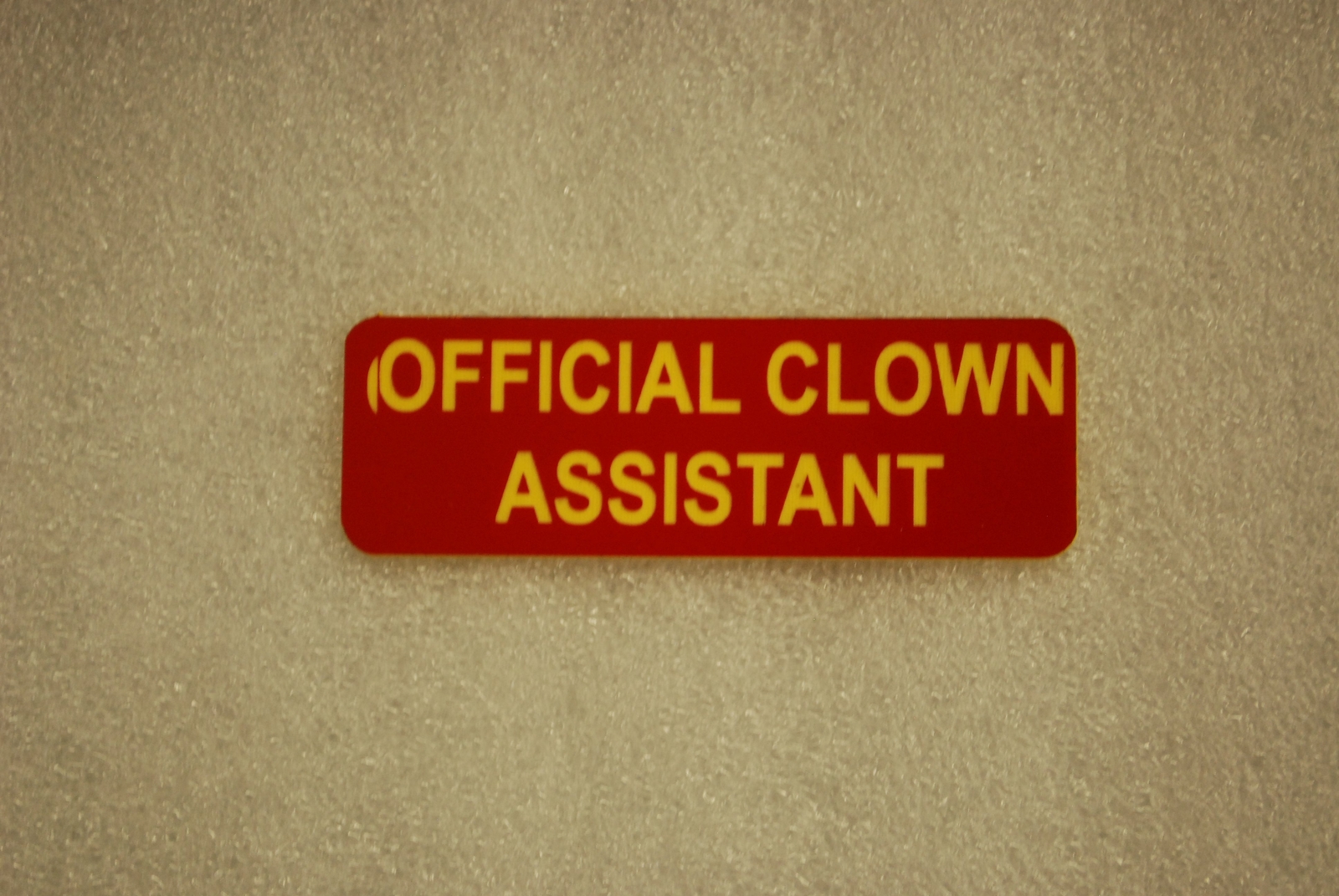 OFFICIAL CLOWN ASSISTANT (Fun Badges) | eBay