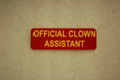OFFICIAL CLOWN ASSISTANT (Fun Badges) | eBay