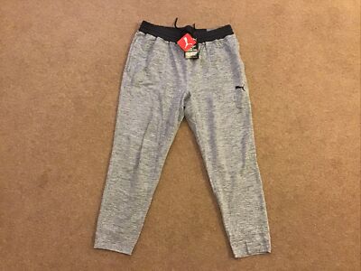 Puma Cloudspun Training Pants Light Grey In Mens Szie XLarge - Main Image