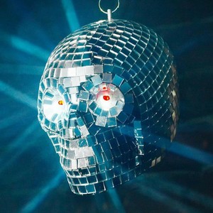 Skeleton Skull 8" Disco Mirror Ball (619159943153)