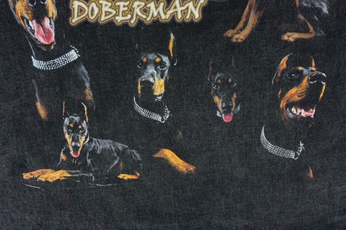 Aelfric Eden Doberman acid wash shirt tagged medium fits oversized more like XL - Picture 7 of 17
