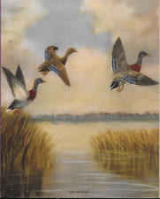 Impresión de muestra Ducks, Water "Over the Marsh" 10"X8" de colección ENVÍO GRATUITO