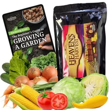 Survival Bank Kit (+Bonus eBook!) — 5 Year Supply of Non-GMO Heirloom Vegetab...