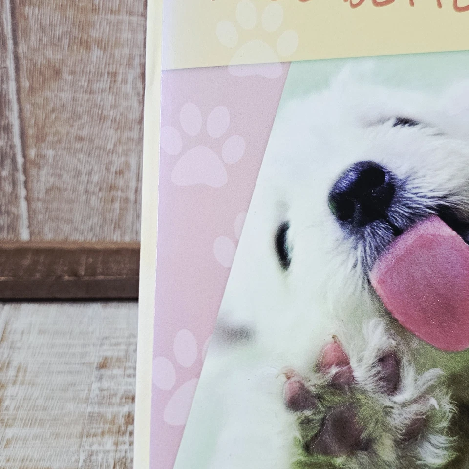 Leanin Tree Get Well Soon Greeting Card Puppy Blue Pink Funny Humor - Image 2 of 4