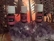 (3) Young Living Essential Oils Acceptance 5ml each. NEW /SEALED