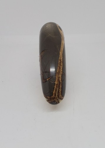 SEPTARIAN BEAR, (Polished) Semi Precious Rock - 5" x 3.5" Pre-owned - Picture 3 of 9