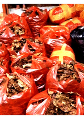 Premium Indian Almond Leaves (Cattapa) for Aquariums | Betta Fish & Shrimp Care