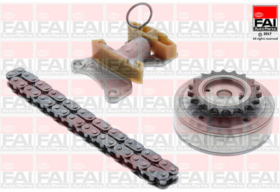 FAI AutoParts TCK124VVT Steuerkettensatz für AUDI,SEAT,SKODA,VW