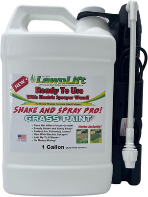 1-Gallon Ready to Use Grass Paint, Shake and Spray Pro with Electric Sprayer Wan