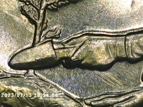 2020 P Vermont Marsh-Billings Quarter - Hair Die Chip & Feeder Finger Scrapes - Picture 2 of 5