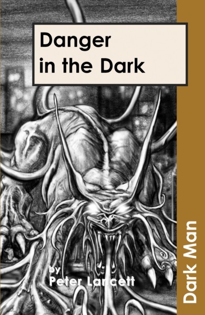 Danger in the Dark AR Edition by Lancett Peter (Paperback Book)