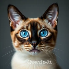 Digital Image Picture Photo Wallpaper Background Desktop AI Art Sample Product