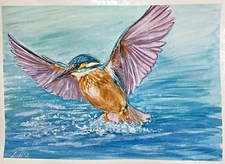 Kingfisher Bird Watercolor Original Painting by Liz Altin 